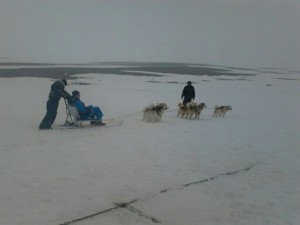 snow sledding